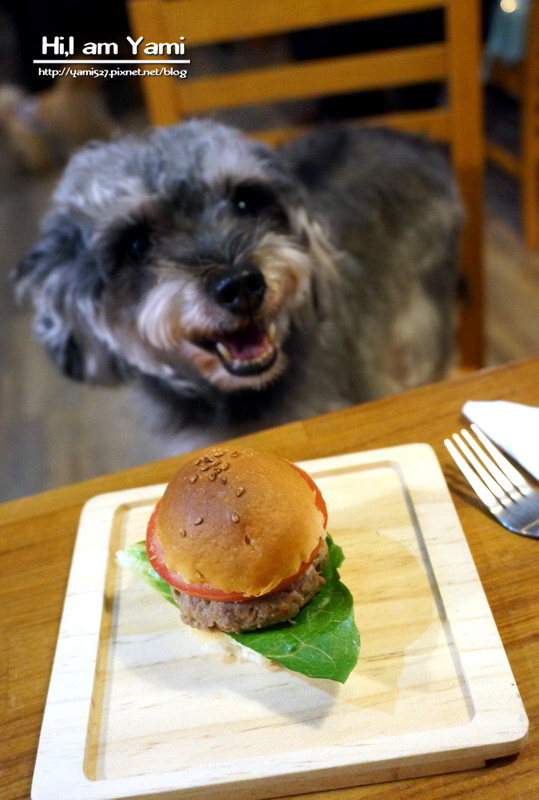 小春日和動物雜貨‧珈琲寵物餐廳 ► 台北 松山區 ◄民生社區必吃貓咪咖啡廳 x 複合式寵物剪毛餐廳有(WIFI/限時兩小時沒客滿不趕人)