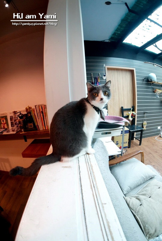 小春日和_8794 小春日和_8794