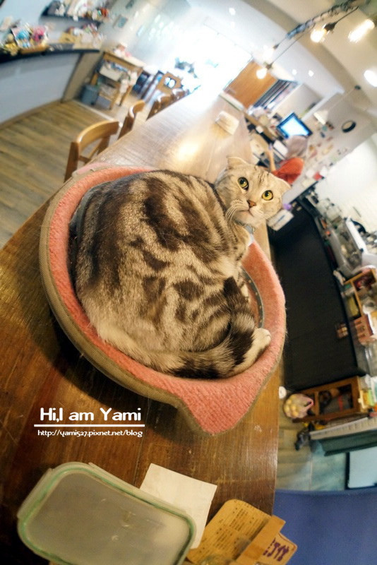 小春日和_8322 小春日和_8322