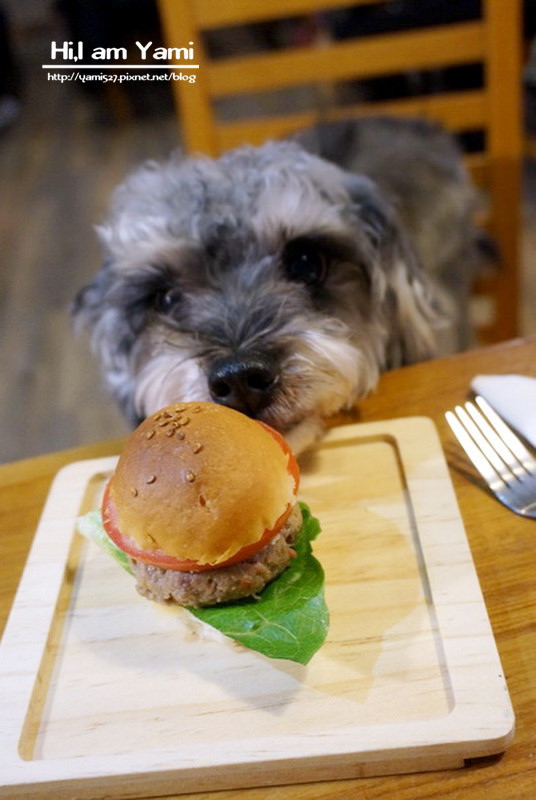 小春日和_7355 小春日和_7355