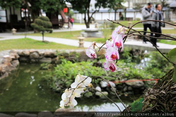 AO3A2914.JPG AO3A2914.JPG