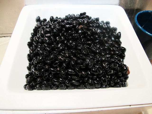 【台北素食】歐式素食吃到飽~長春素食