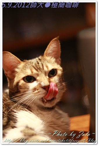 師大●極簡咖啡(2/2)