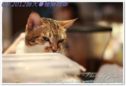 師大●極簡咖啡(2/2)