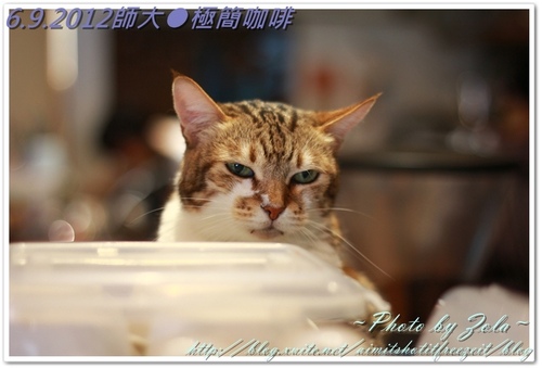 師大●極簡咖啡(2/2)