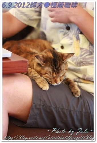 師大●極簡咖啡(2/2)