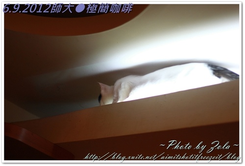 師大●極簡咖啡(2/2)