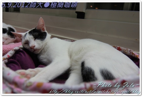 師大●極簡咖啡(2/2)