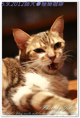 師大●極簡咖啡(2/2)