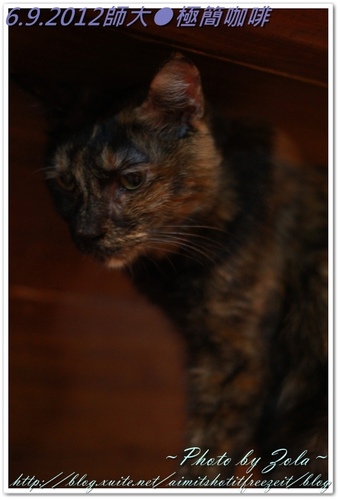 師大●極簡咖啡(2/2)