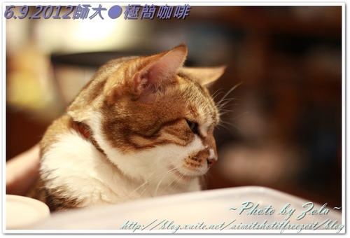 師大●極簡咖啡(2/2)