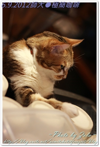 師大●極簡咖啡(2/2)