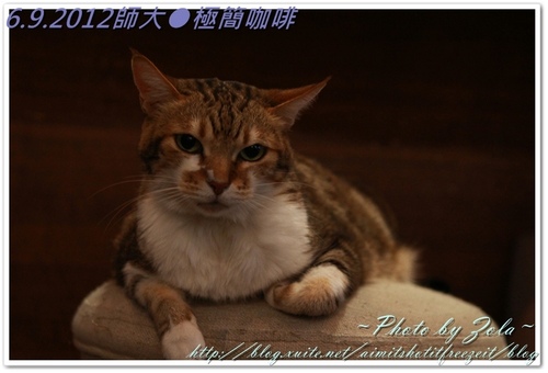 師大●極簡咖啡(2/2)