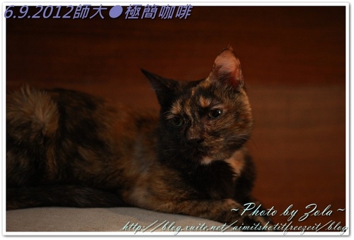 師大●極簡咖啡(2/2)