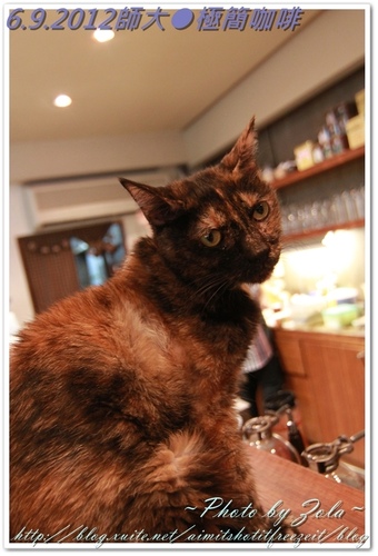 師大●極簡咖啡(2/2)