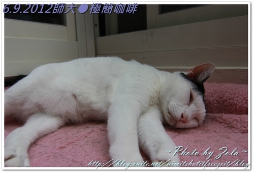 師大●極簡咖啡(2/2)