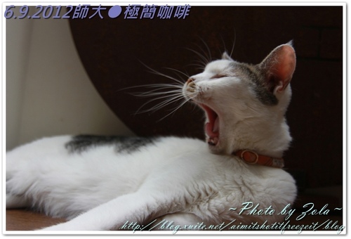 師大●極簡咖啡(2/2)