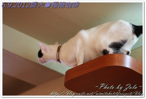 師大●極簡咖啡(2/2)