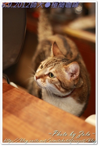 師大●極簡咖啡(2/2)