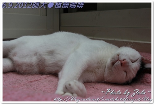 師大●極簡咖啡(2/2)