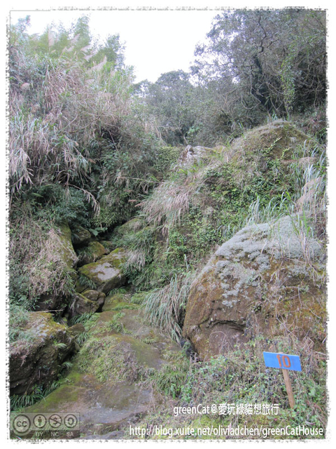 【南投】溪頭悠閒半日遊