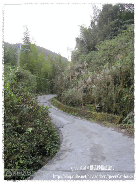 【南投】溪頭悠閒半日遊