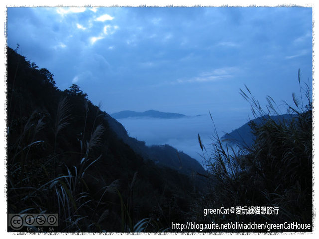【南投】溪頭悠閒半日遊