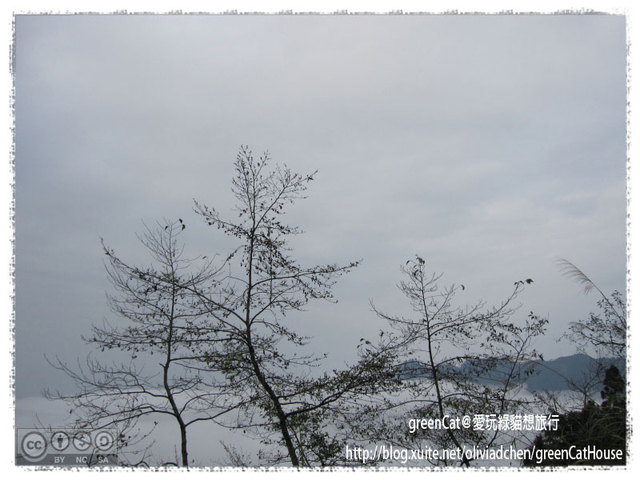【南投】溪頭悠閒半日遊