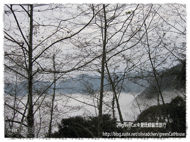 【南投】溪頭悠閒半日遊