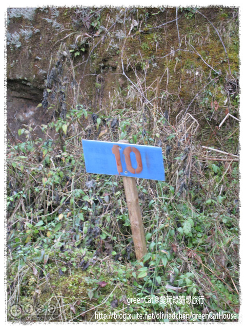 【南投】溪頭悠閒半日遊