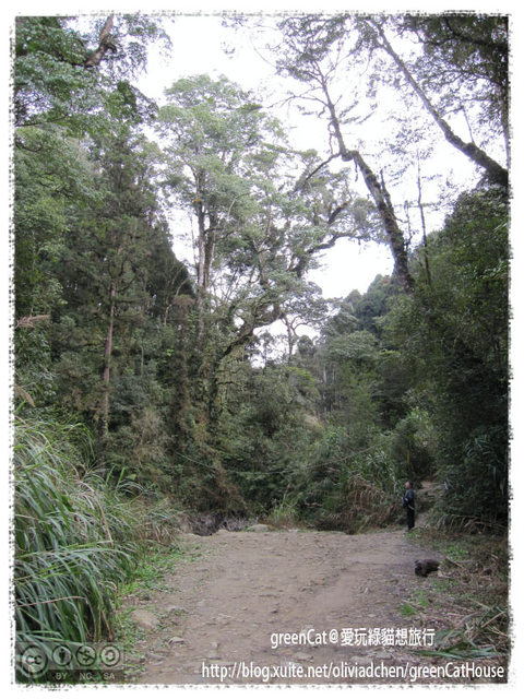 【南投】溪頭悠閒半日遊