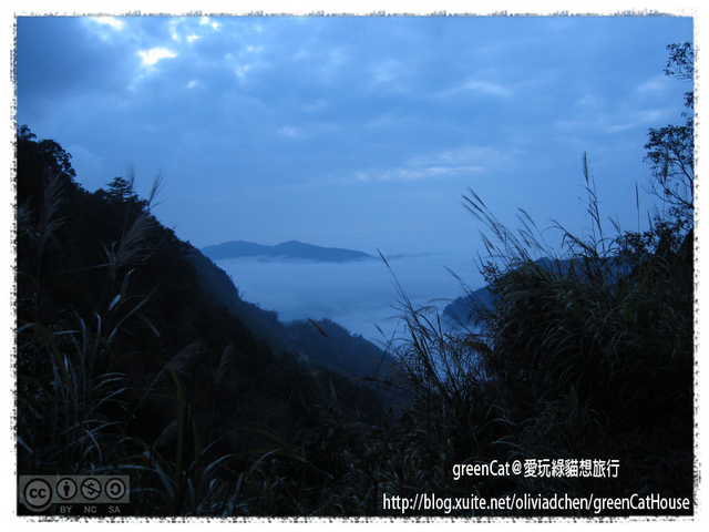 【南投】溪頭悠閒半日遊