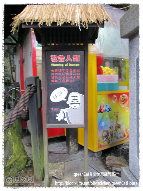 【南投】溪頭悠閒半日遊