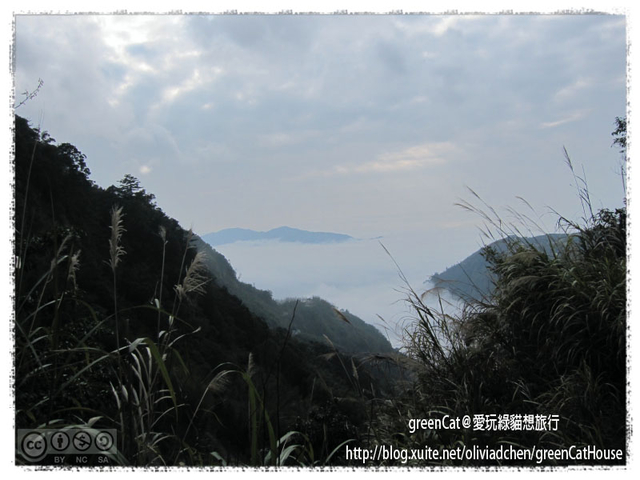 【南投】溪頭悠閒半日遊