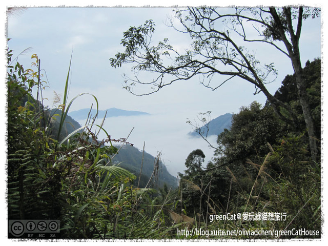 【南投】溪頭悠閒半日遊
