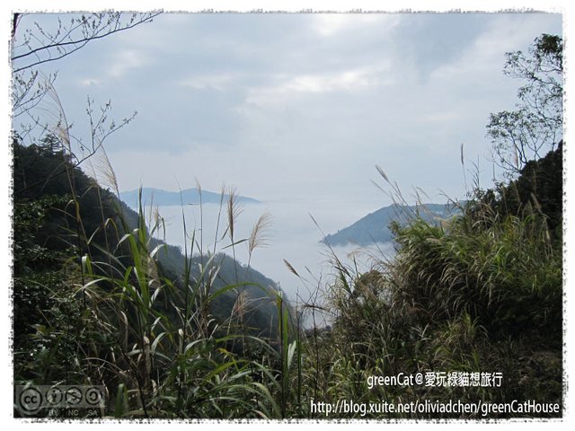 【南投】溪頭悠閒半日遊