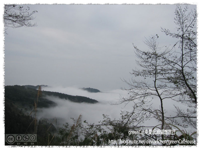 【南投】溪頭悠閒半日遊