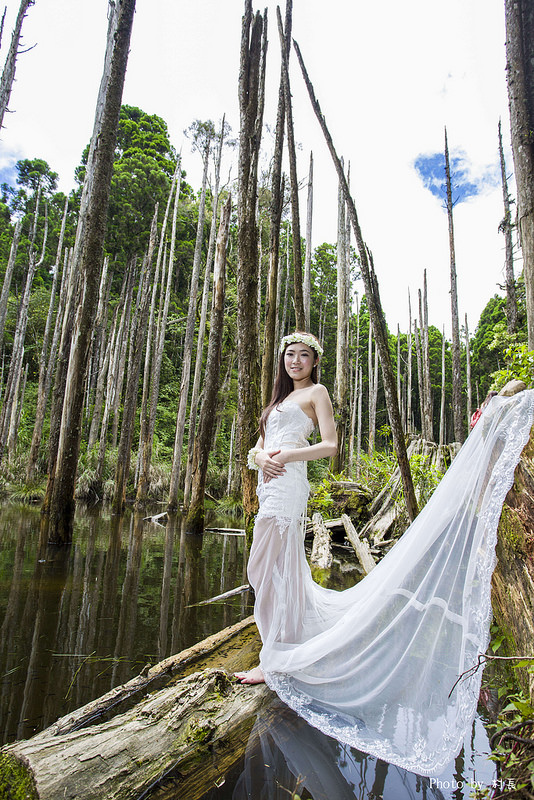 忘憂森林:【人像寫真】{南投}艷夏。忘憂森林 忘憂森林:【人像寫真】{南投}艷夏。忘憂森林