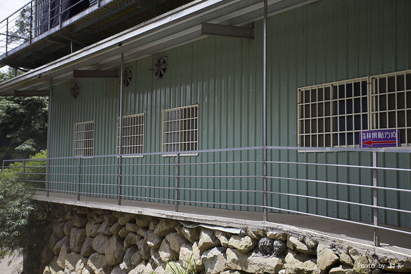 忘憂森林:【人像寫真】{南投}艷夏。忘憂森林 忘憂森林:【人像寫真】{南投}艷夏。忘憂森林