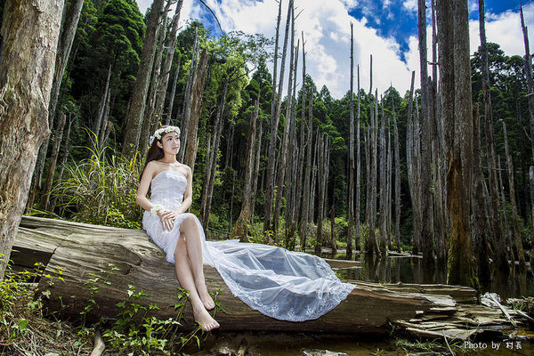 忘憂森林:【人像寫真】{南投}艷夏。忘憂森林 忘憂森林:【人像寫真】{南投}艷夏。忘憂森林