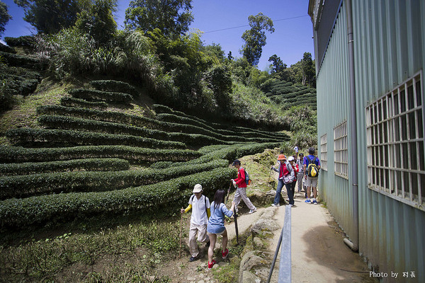 忘憂森林:【人像寫真】{南投}艷夏。忘憂森林 忘憂森林:【人像寫真】{南投}艷夏。忘憂森林