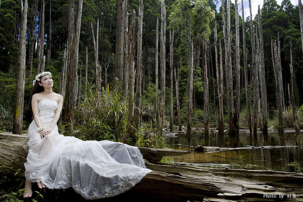 忘憂森林:【人像寫真】{南投}艷夏。忘憂森林 忘憂森林:【人像寫真】{南投}艷夏。忘憂森林