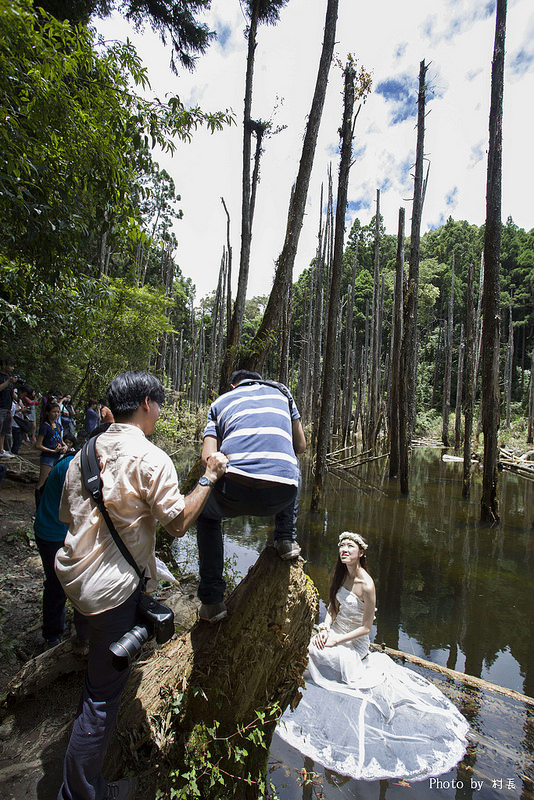 忘憂森林:【人像寫真】{南投}艷夏。忘憂森林 忘憂森林:【人像寫真】{南投}艷夏。忘憂森林