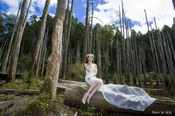 忘憂森林:【人像寫真】{南投}艷夏。忘憂森林 忘憂森林:【人像寫真】{南投}艷夏。忘憂森林