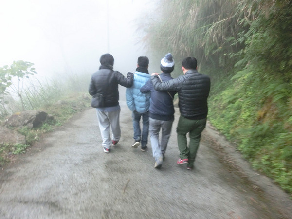 忘憂森林:【南投遊記】煙雨濛濛迷霧似幻的人間仙境@忘憂森林 忘憂森林:【南投遊記】煙雨濛濛迷霧似幻的人間仙境@忘憂森林