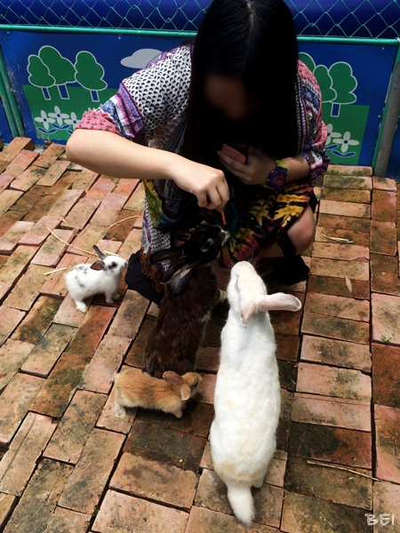 【中部景點】中部必去景點懶人包∞跟著Belle粗乃玩(✪ω✪)