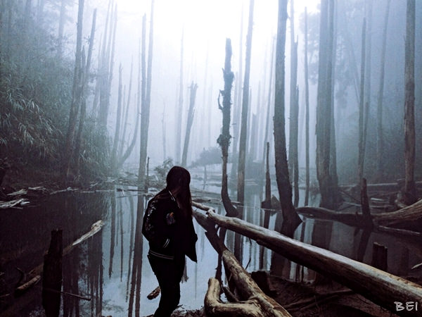 【中部景點】中部必去景點懶人包∞跟著Belle粗乃玩(✪ω✪)