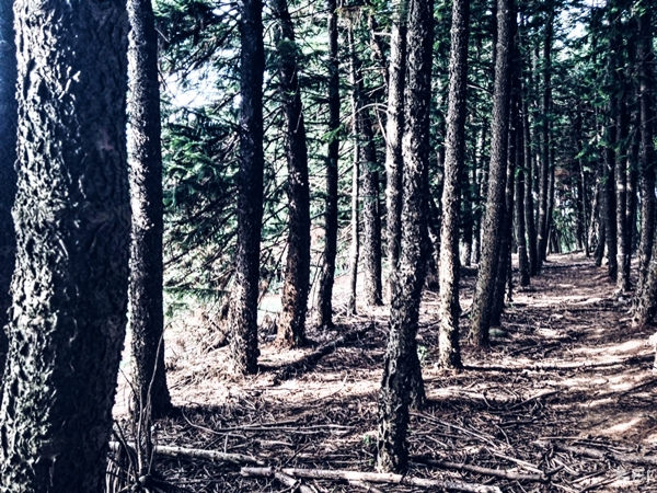 【中部景點】中部必去景點懶人包∞跟著Belle粗乃玩(✪ω✪)