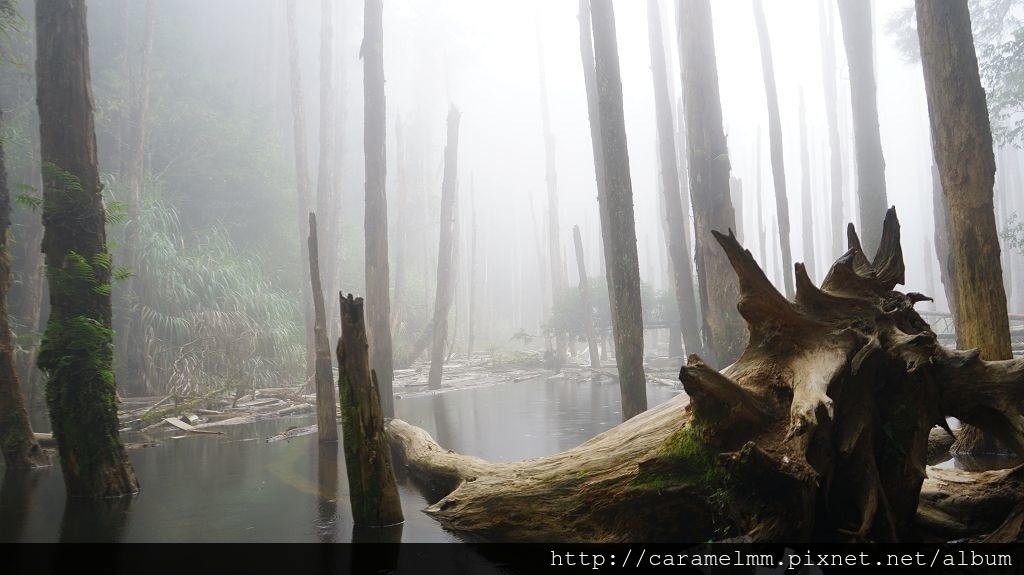 DSC04199.jpg DSC04199.jpg