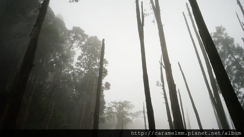 DSC04196.jpg DSC04196.jpg